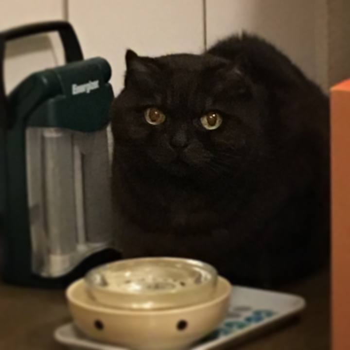 316fbcb3 0071 4ef4 a5c2 1946f6b719ec 1518416616952