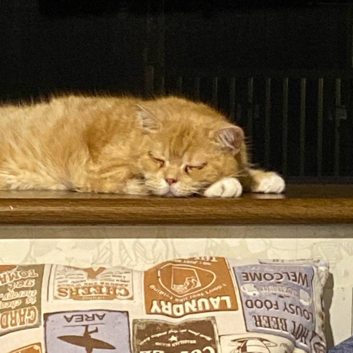 316fd6d4 e10e 4b51 83d1 472c2e337834 1658590022974