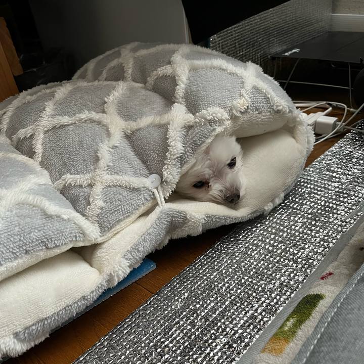 316fdad4 261b 4705 9909 fb2251f39062 1745713932672