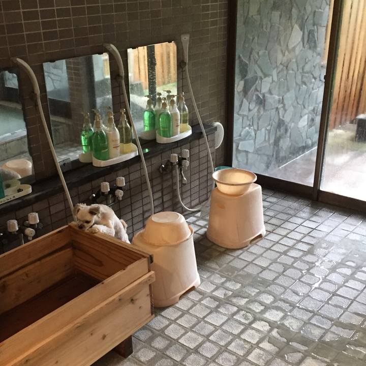 316fdf98 28cd 4da6 9b6f 5402caed391a 1564274236352