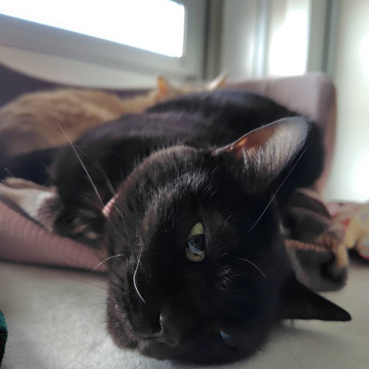 317008af ab77 472a acea 18a72af6e896 1734957076104