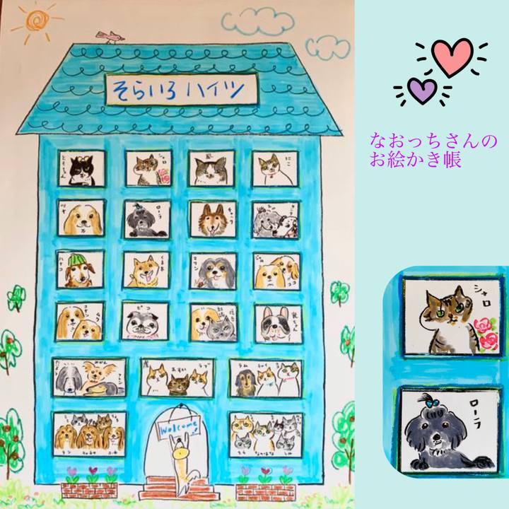 317034c9 0346 460d a368 a7fcf521cc3c 1591886588269