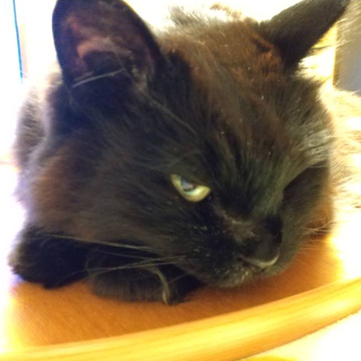 3170477f 222d 462a 954d dd8997855626 1582983753755