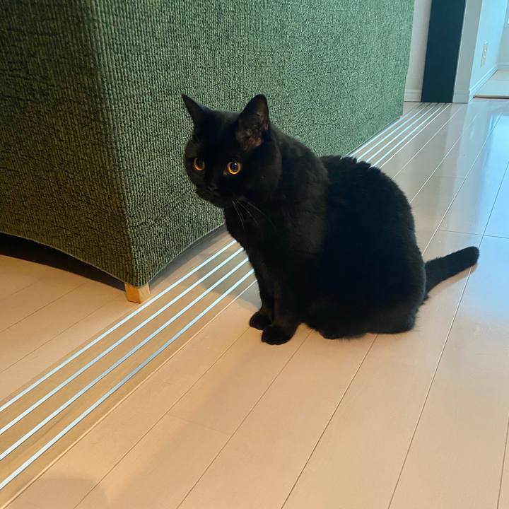 3170648e 171d 49f8 96cc 76b263daa993 1695070165088