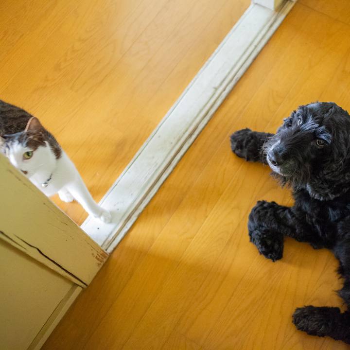 31708ddb fa3e 4816 a59f 8d9655a156b3 1562480895232