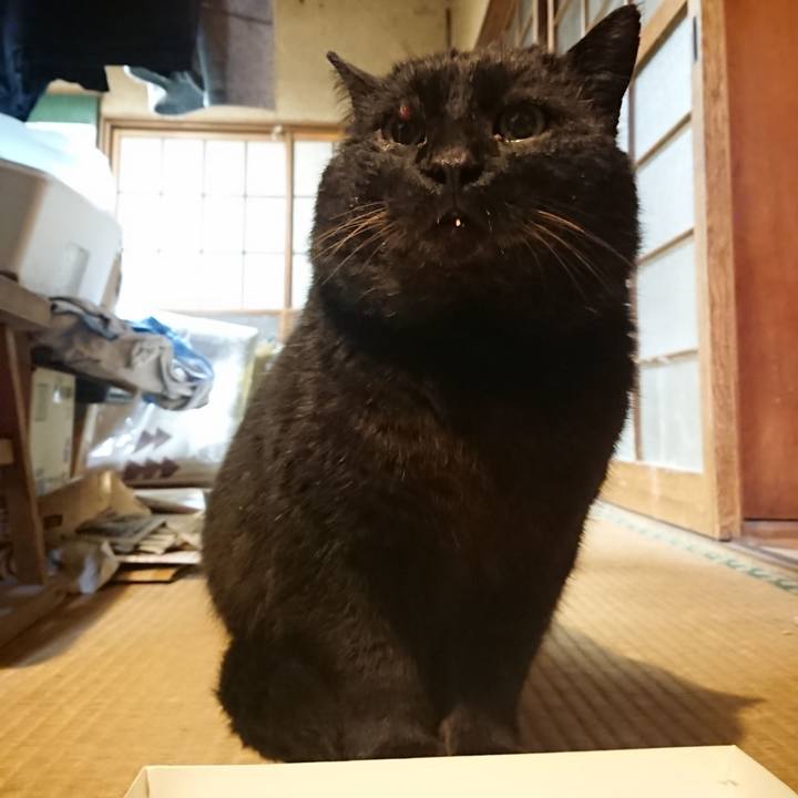 3170ff71 3223 4310 a2cf 1e7c6fbbf651 1615723579514