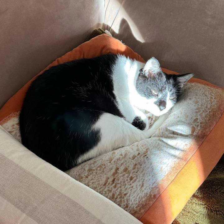 31711e15 be47 4b36 858b 15e5622ea7fa 1766890506802