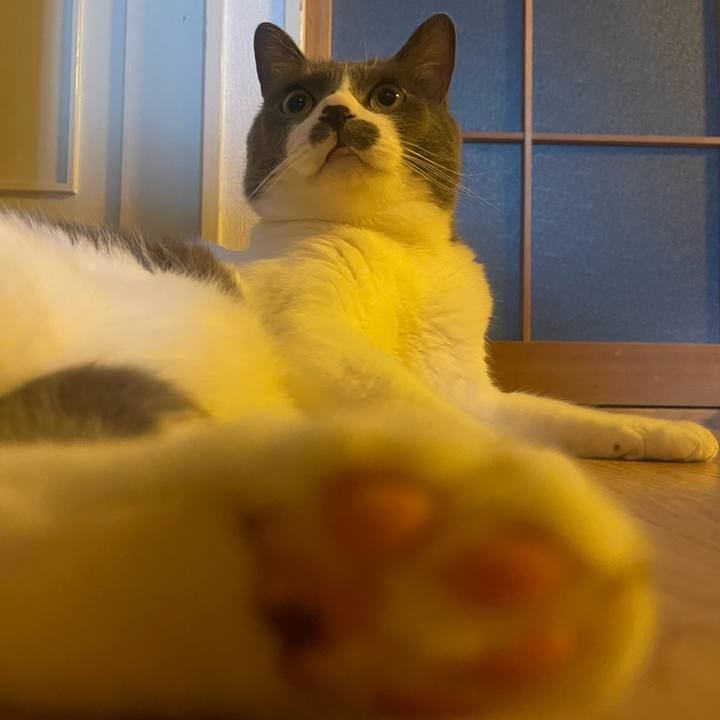 31716012 8264 4d28 8d0e 9a7b859a46e3 1751236948608