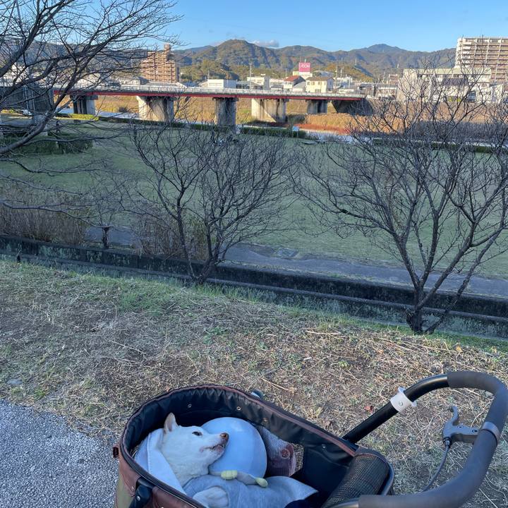 31717507 efbd 4d89 83f0 a9a0df8d154c 1670322144272