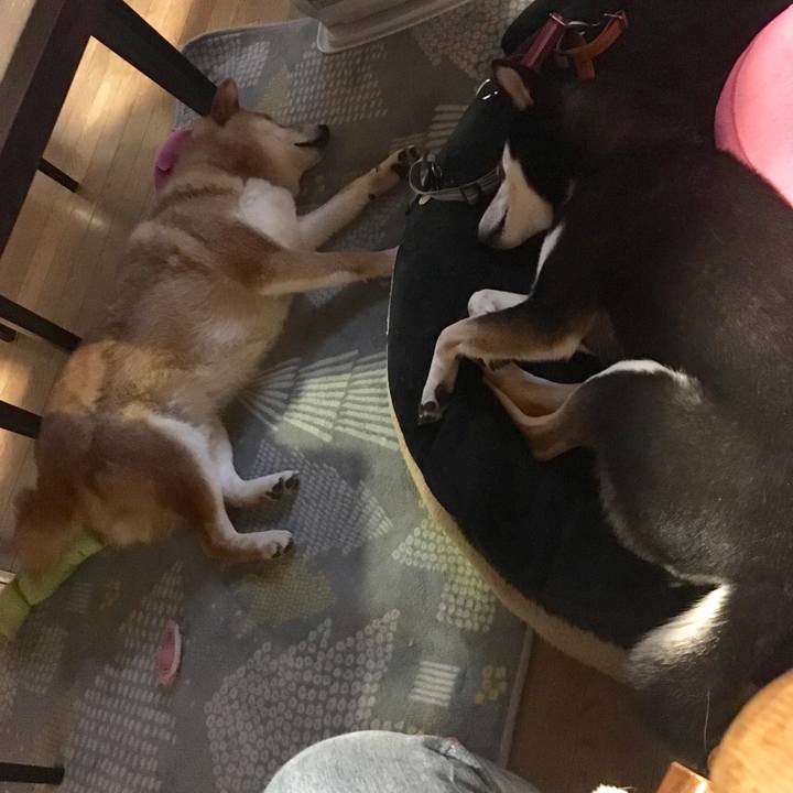 317194a5 5af6 4a5d 899c 8926e4d08fee 1555520990085