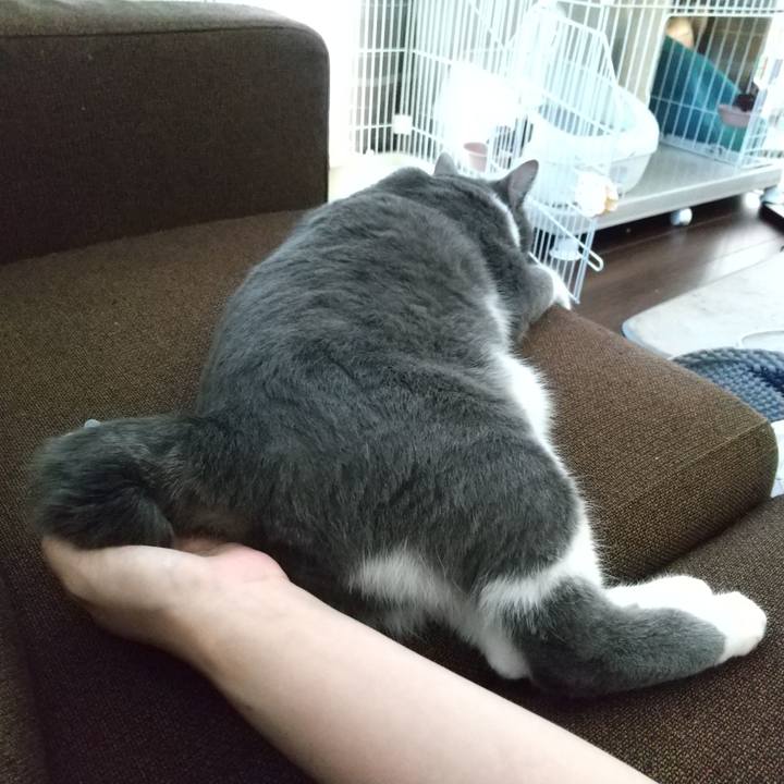 3171a36e ad26 42b0 9b2d 56537473f48b 1627800330581