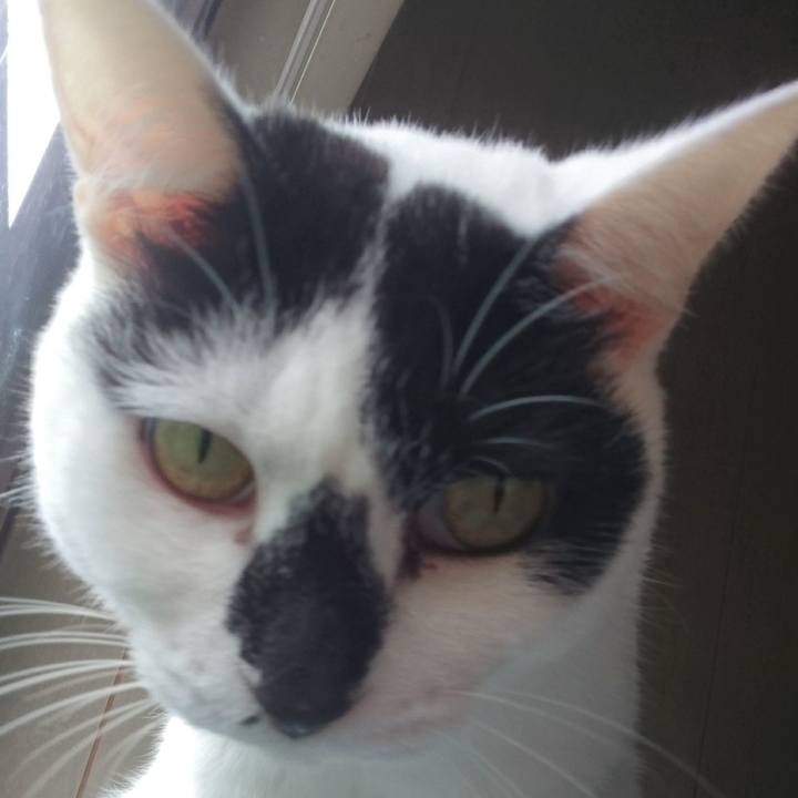 3171cb0b 72ac 4b27 a7be 190e8d673b21 1570765368102