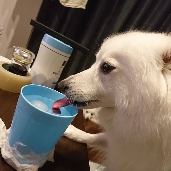 3171ea6d 3f64 4f0d b4cb 67440f263136 1596553399125