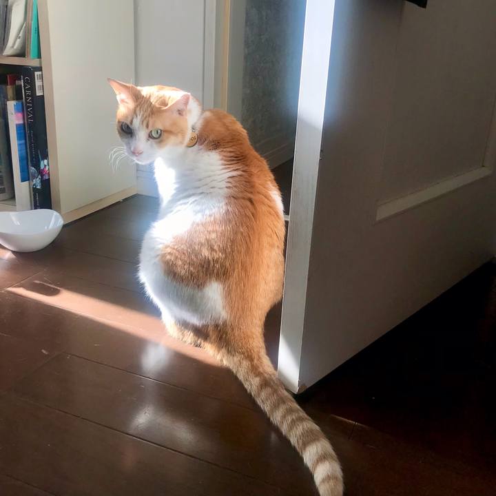 3171ef52 19cf 43f0 bd83 6fc1416cd15c 1641707156245