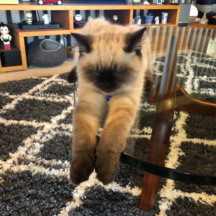 3171fe82 8eaf 4b2b 83e1 efb385dc393b 1589854774363