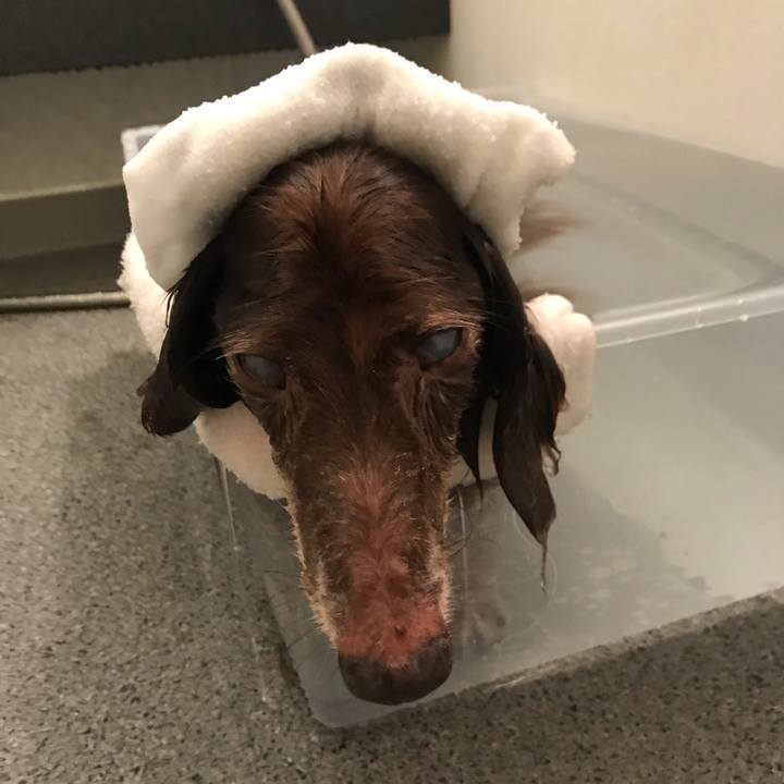 317208b3 b1e8 4d05 bdf7 75ccc50300b3 1569637570165