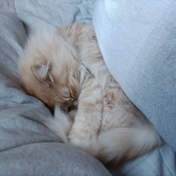 31723a5a ea34 4100 bfff fa80321da12d 1679190318059