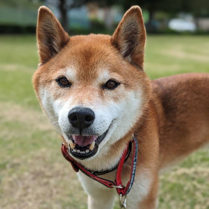 31724486 c2db 41e6 a324 c5b5ac1eff5c 1714199723356