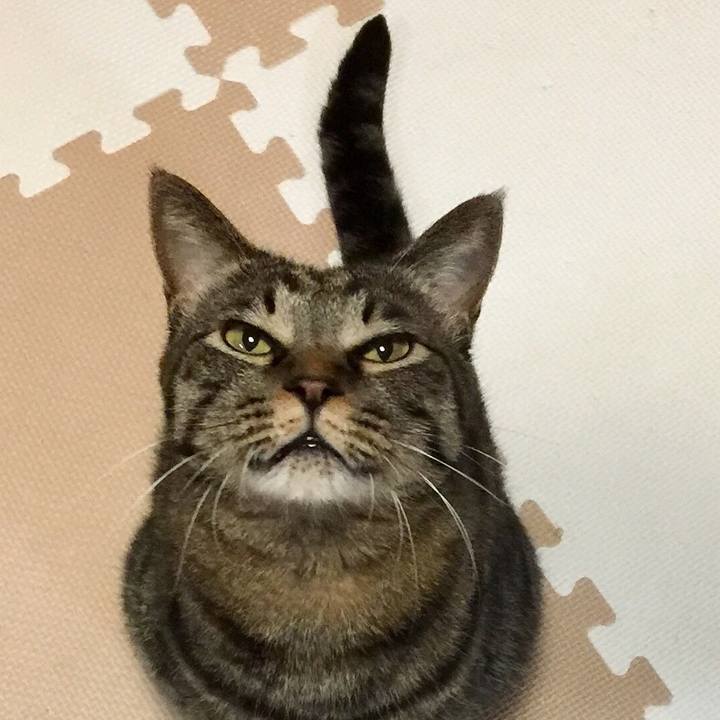 31729967 9486 447c ae2a 6d2a23a3e37f 1558786152888