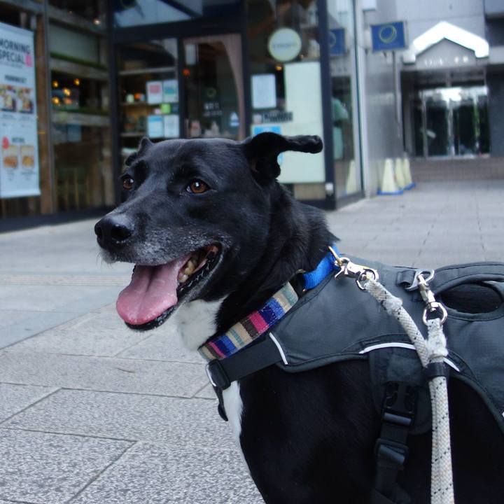 3172c123 af83 46f4 be01 ae62d8d362d0 1654302399805