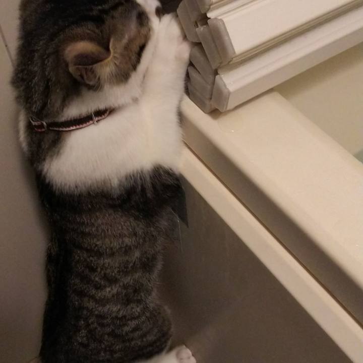 31733c93 0cbd 4f83 a6ec 39a0afb9a8c7 1612874010498