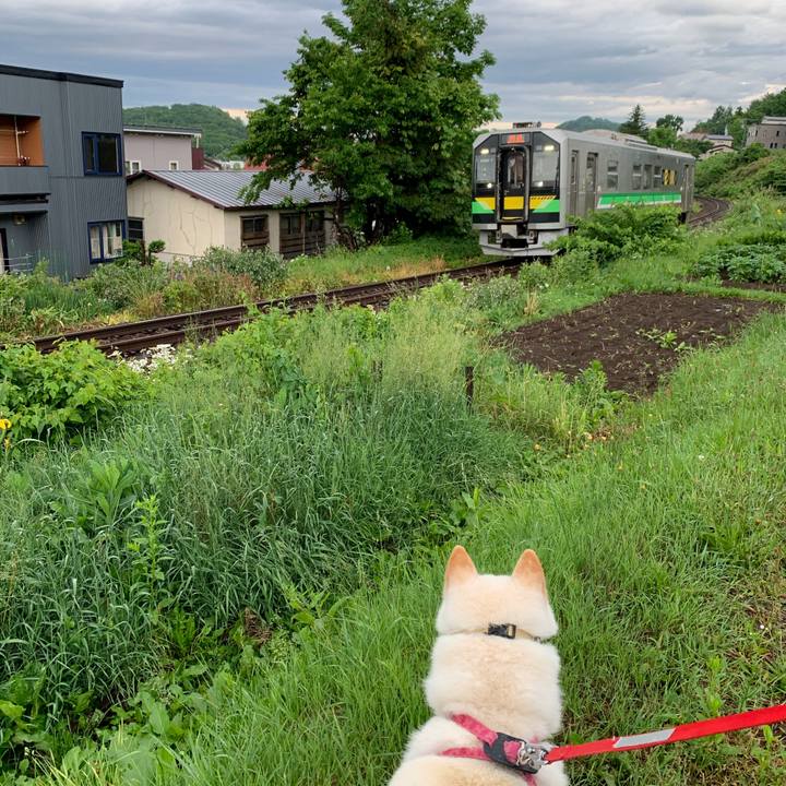 31734fe2 1434 4c56 a871 3bc89845f151 1592426890817