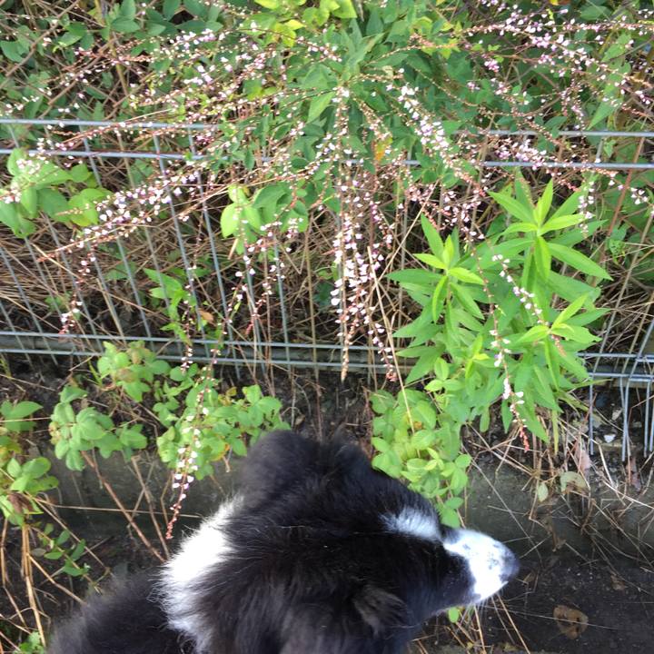 31736eed 416f 4b23 a862 85a077946678 1567467224890