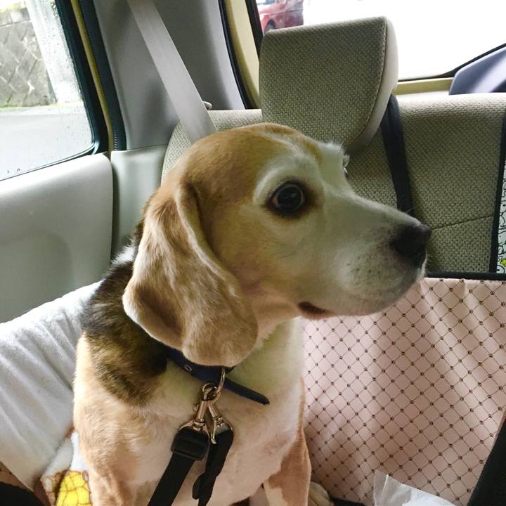 31736f5a 67ae 4f14 aad6 318a19a08154 1574820818109