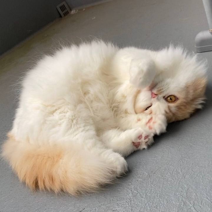 317397f6 b4a8 4934 9cad 655e9ca50edc 1656503564947