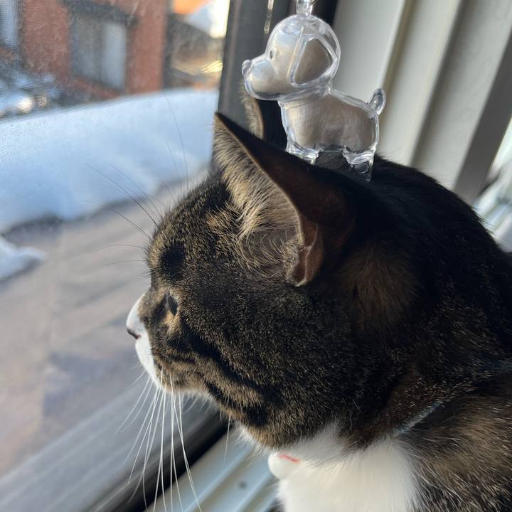 3173a036 a6b4 43fb afd4 e84383ac548b 1770001183589