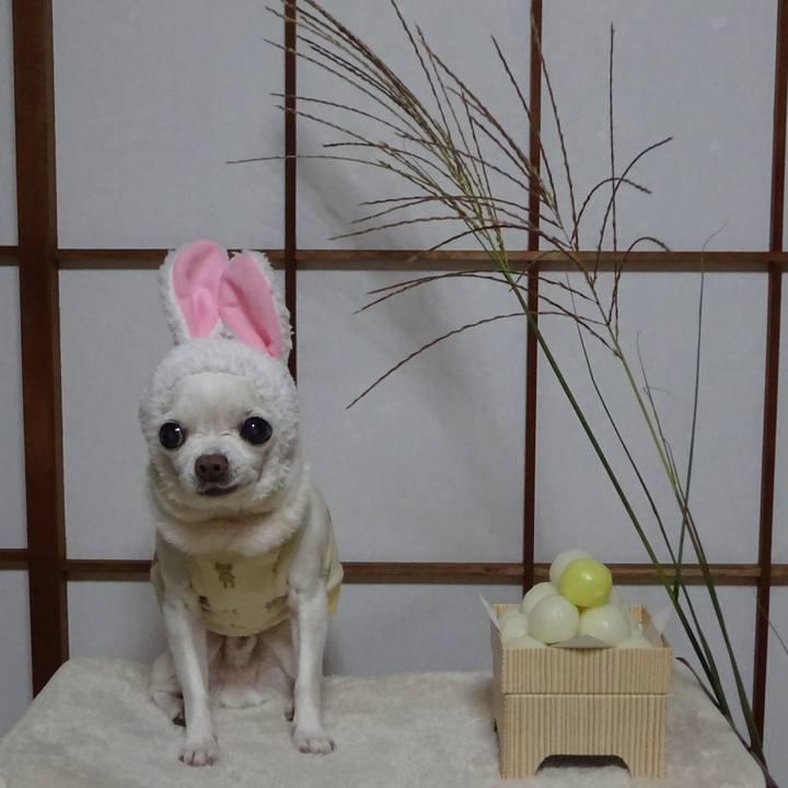 3173a562 b88f 4fcc b898 3c6fdac5fceb 1601481396777