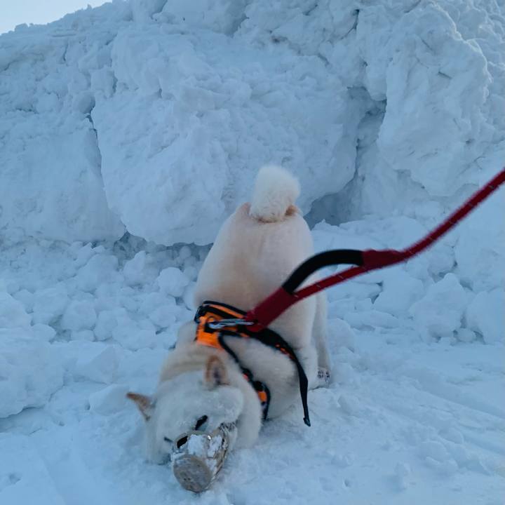 3173bf84 39bf 4e1d 8543 98491ce95826 1673475336433