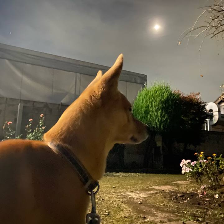 3173e7a8 9bd4 4447 b6f9 bcadc4b94547 1637318649339