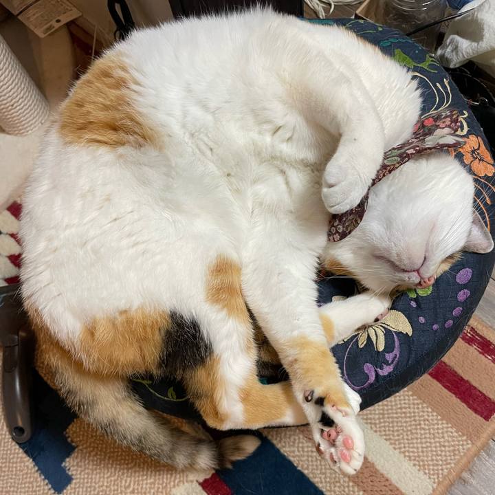 3173ef74 3db2 4499 8be7 d4de3f82d854 1749389111531