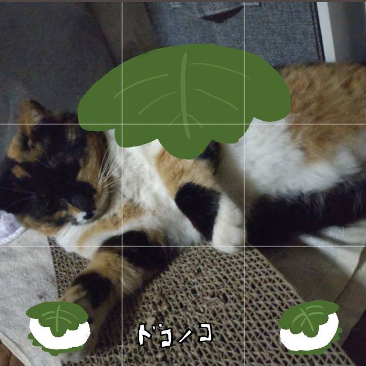 3173f7b2 7fd6 45a3 b8ed 2330658662e9 1749385294421