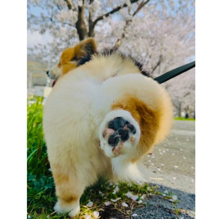 3173fa97 8e66 4832 a44b d1ddd5c3c338 1775355558963