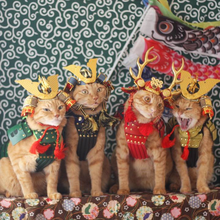 31742bbb a29c 47e3 8579 08d8f7d24055 1714878345524