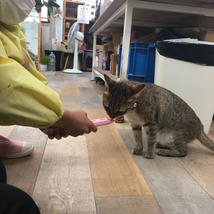 317432b5 a1f5 4c2d a58c 5b0e70f27a62 1627127298257