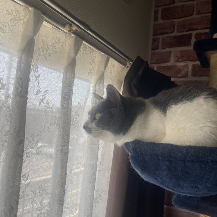 31745c7c 71be 4b5c bb63 742cd10b5f8e 1681957423249