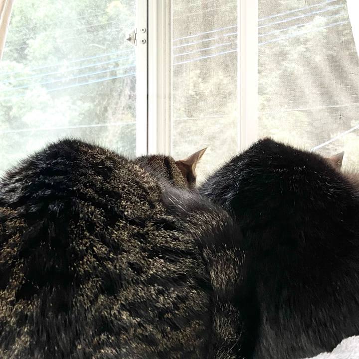 31747d9e d353 482b 8389 a2aa49d0ec57 1640087811239