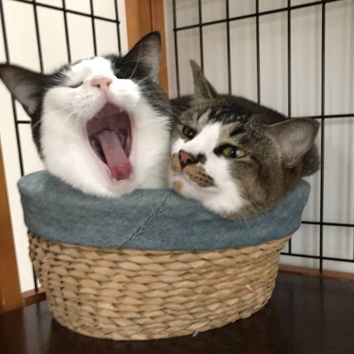 31748d41 4a32 4da6 8d96 d68269359ab3 1526105180918