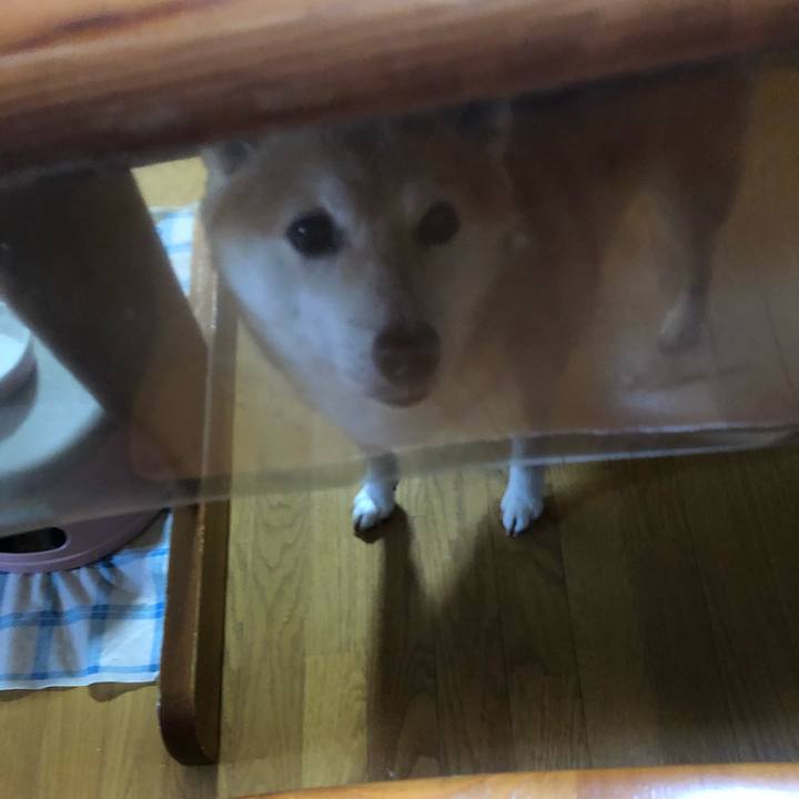 3174b2c2 3284 4361 af65 43933971a21b 1605342742775