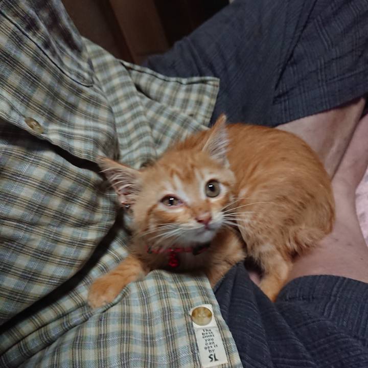 3174bf74 f4de 4444 8beb 34e24c1095e3 1628023641606