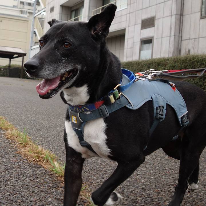 3174c178 058a 42e2 a10f c380b0f1486a 1711932373198