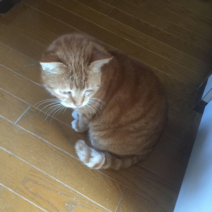 3174c514 f5da 45a0 a838 4960f53d88a1 1555124348723