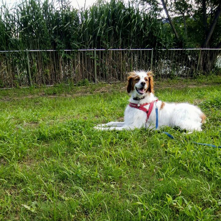 3174d9c2 9209 4b4e 9122 989b84479cf7 1563968003652