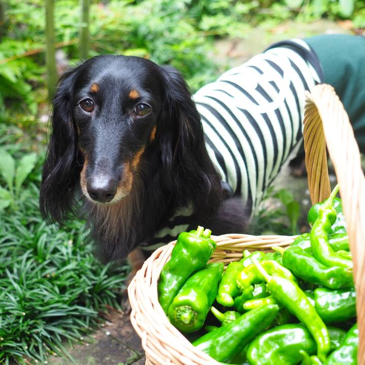 31751246 9a7b 4fb5 9126 dd89691cfebb 1633066263420