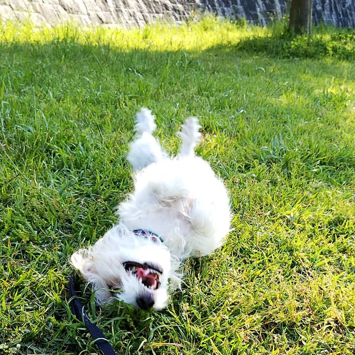 31754a71 9e11 4dd3 aad3 d7a55ad0e914 1557563768920