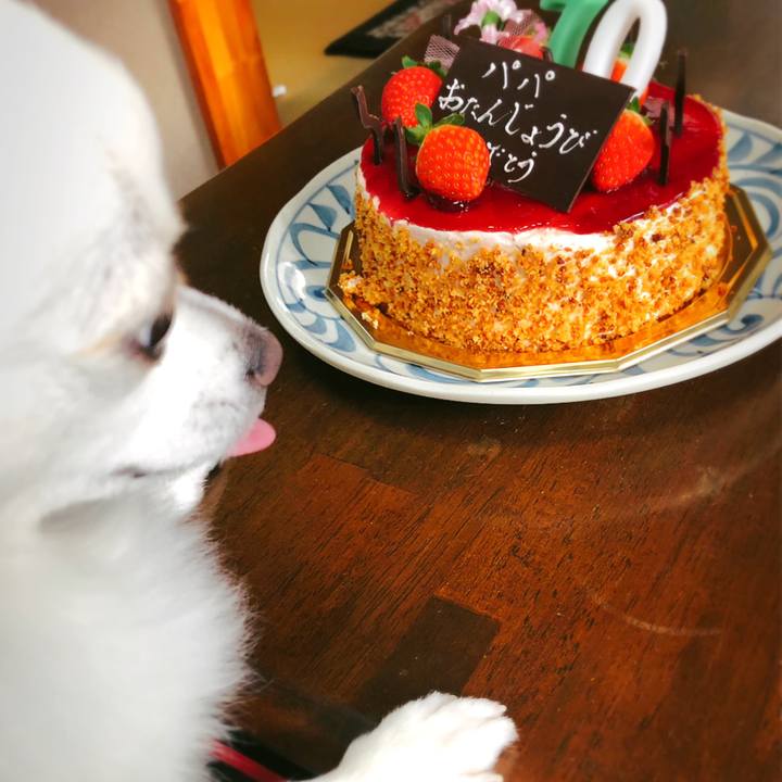 3175729a 97a8 455b b12d 13561944efcb 1606724364884