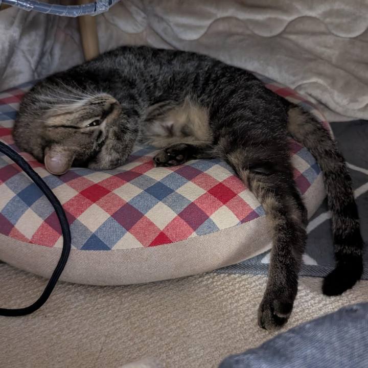 31757921 b2ca 4669 98fe 0a1436b8afea 1764138497637